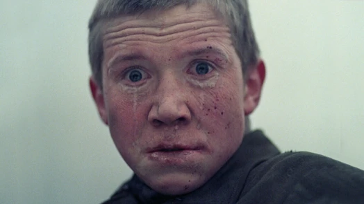 Иди и смотри