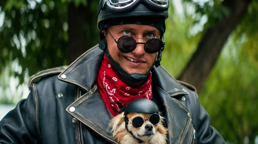 Приключения жёлтого чемоданчика